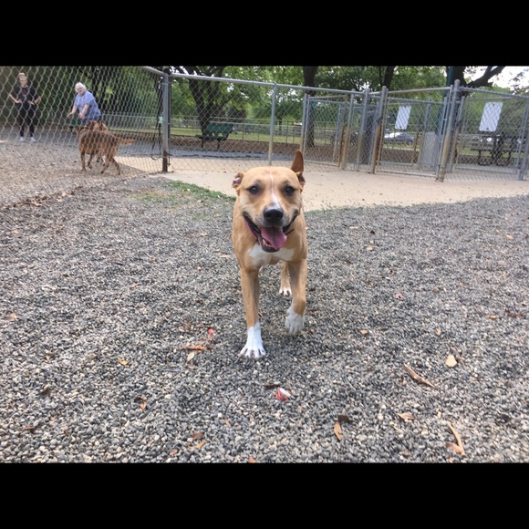 Meet your Posher, Myrna - Picture 7 of 8